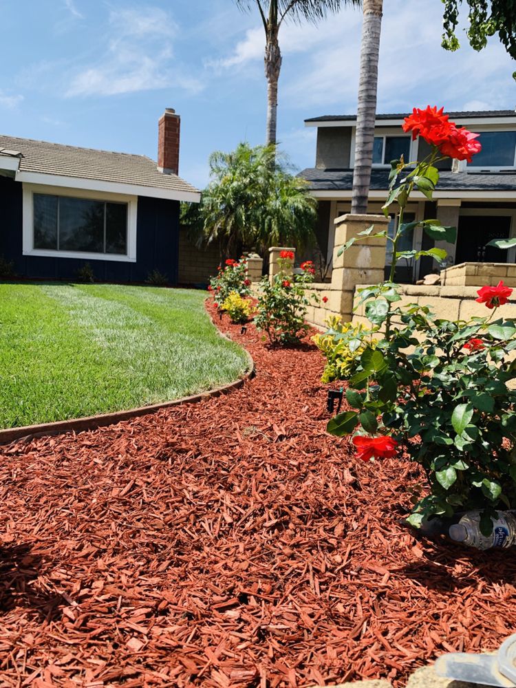 Finished front yard with lawn and mulch
