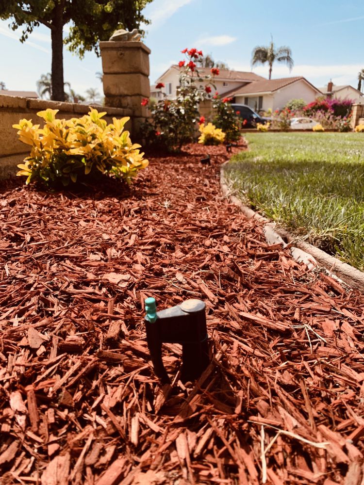 Fresh mulch and planting bed